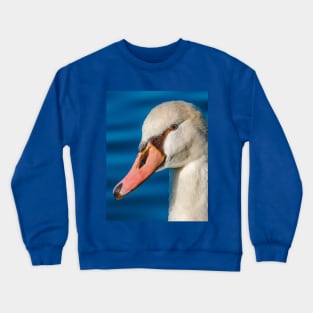 Beautiful Mute Swan Portrait Crewneck Sweatshirt